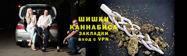 твердый Инсар