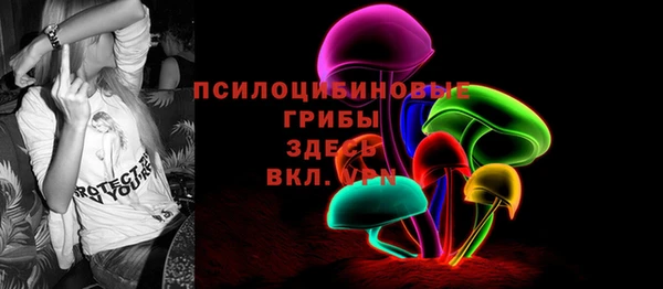 твердый Инсар