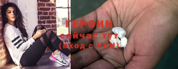 твердый Инсар