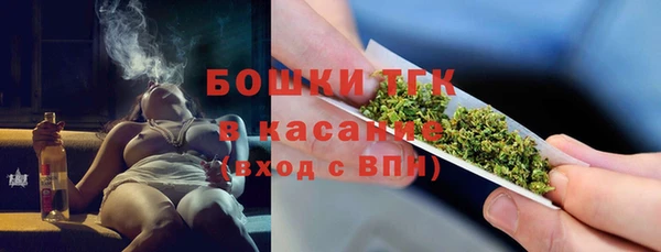 твердый Инсар
