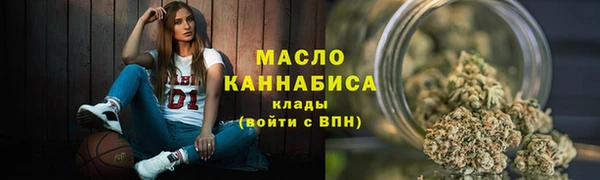 твердый Инсар