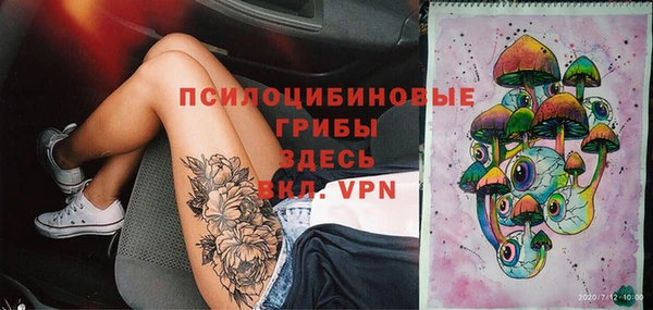 прущая мука Инта