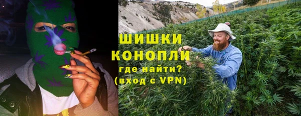 твердый Инсар
