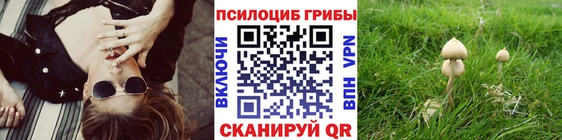 Купить  Всеволожск  Псилоцибиновые грибы Psilocybine cubensis 
